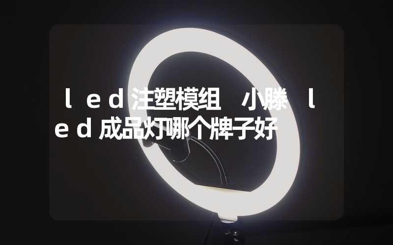 led注塑模组 小滕 led成品灯哪个牌子好